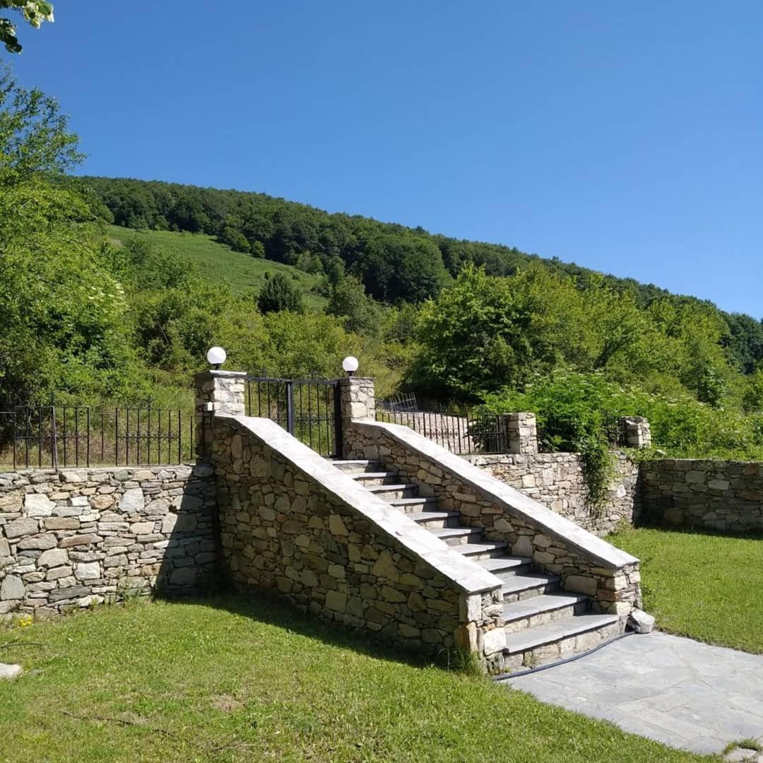 Guesthouse Kontogianni - Materka Nymfaio Exterior photo